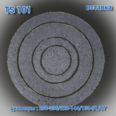 TS 101