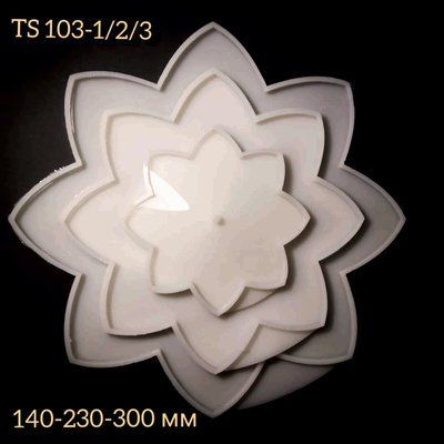 TS 103-3