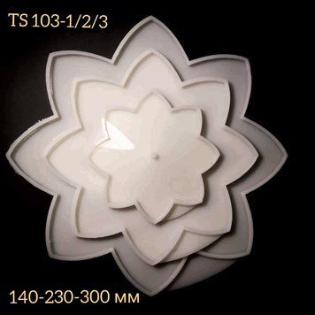 TS 103-2